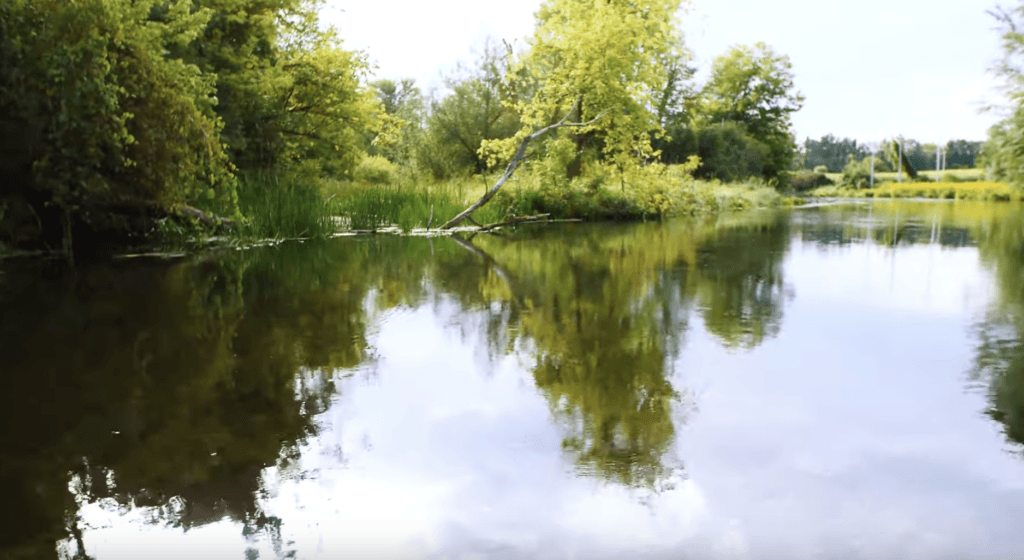 Zibi Yajdan- The River Tells It